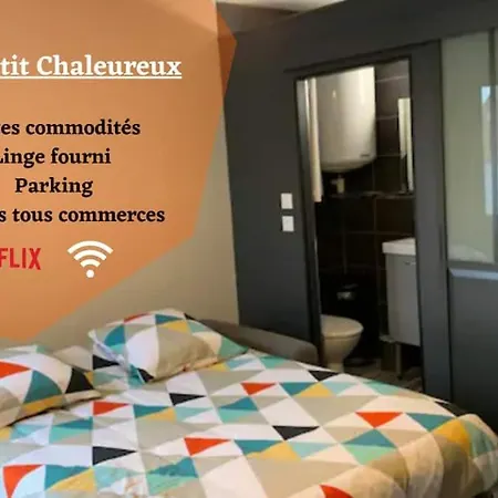 Le Petit Chaleureux - Centre Ville - Wifi - Stationnement Niort Buitenkant foto